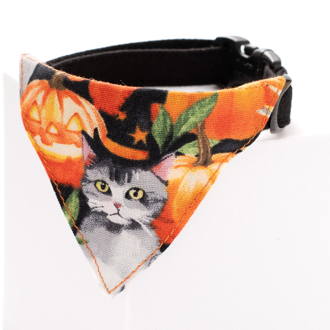 バンダナ付き猫首輪　ハロウィン　マジックキャット／オレンジ