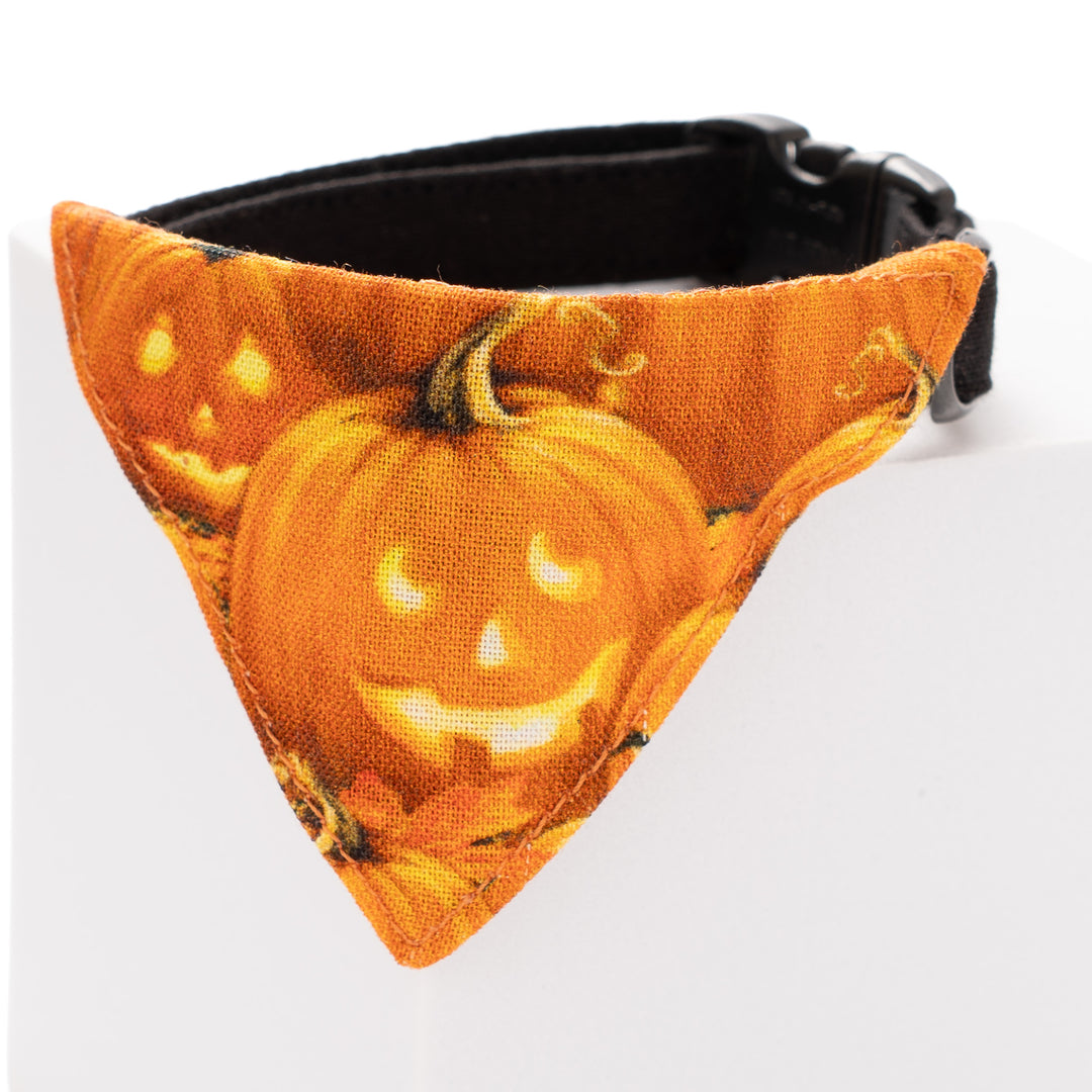 バンダナ付き猫首輪　ハロウィン　パンプキンパッチ／オレンジ