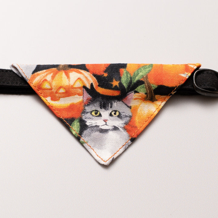 バンダナ付き猫首輪　ハロウィン　マジックキャット／オレンジ