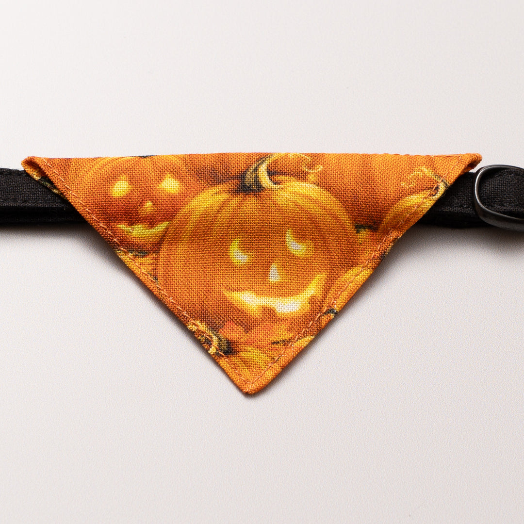 バンダナ付き猫首輪　ハロウィン　パンプキンパッチ／オレンジ