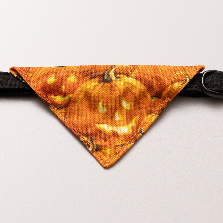 バンダナ付き猫首輪　ハロウィン　パンプキンパッチ／オレンジ