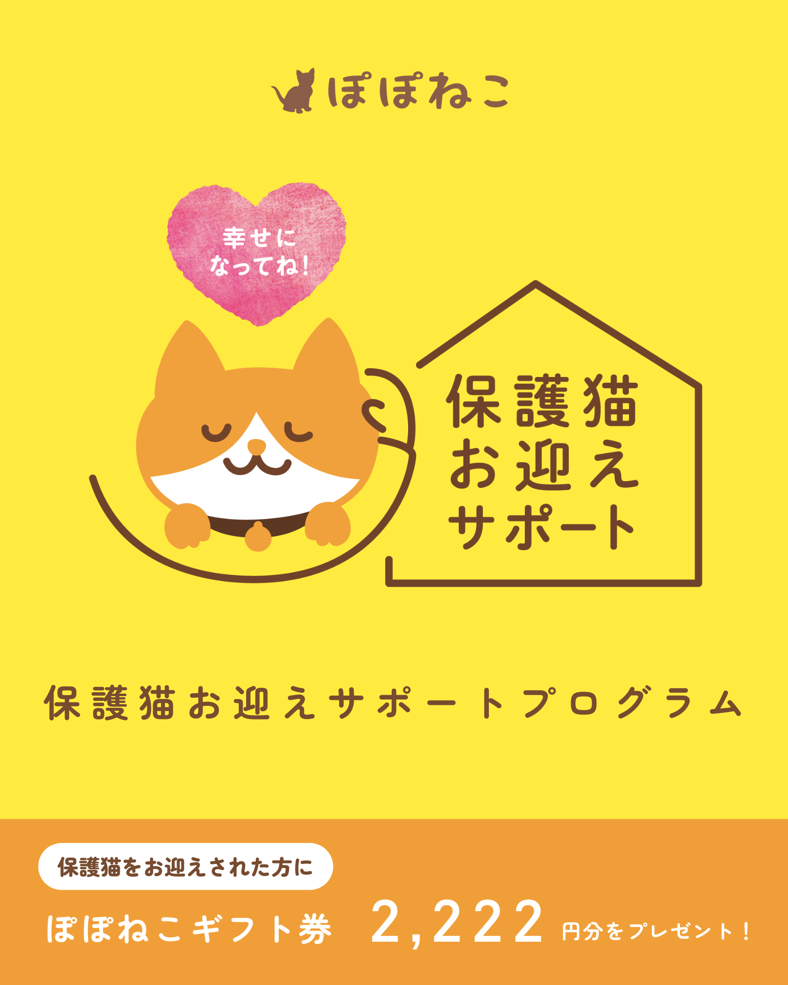 幸せになってね！保護猫お迎えサポートプログラム