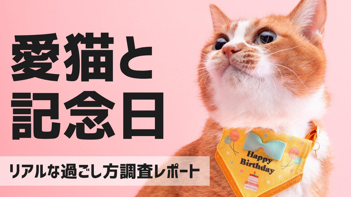 みんなはどうしてる？猫ちゃんの誕生日・うちの子記念日のリアルな過ごし方調査レポート
