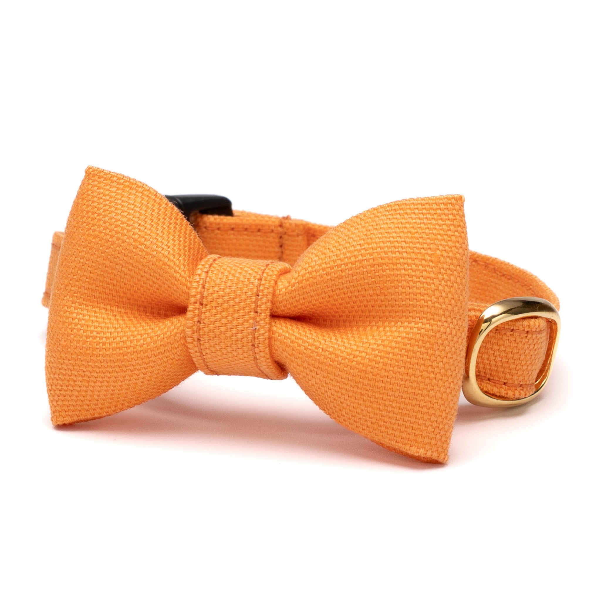 リボン付き猫首輪 コットンオックス キャロット｜ぽぽねこ公式