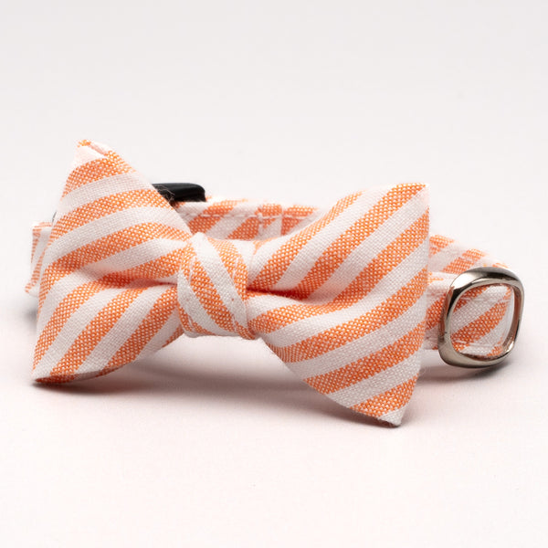 Cat Collar with Ribbon, Chambray Stripe, Orange