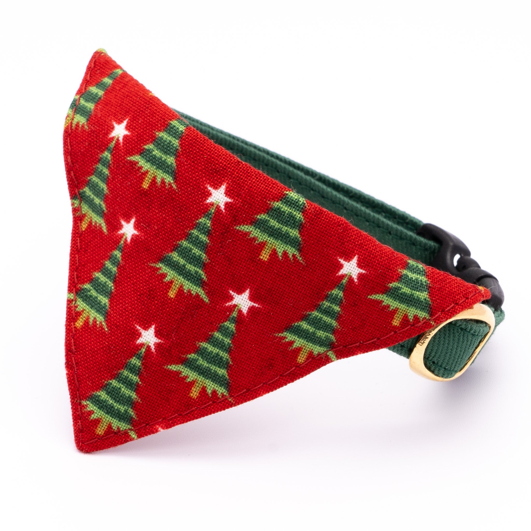 DSC00047_2100c1b1-4f37-4201-