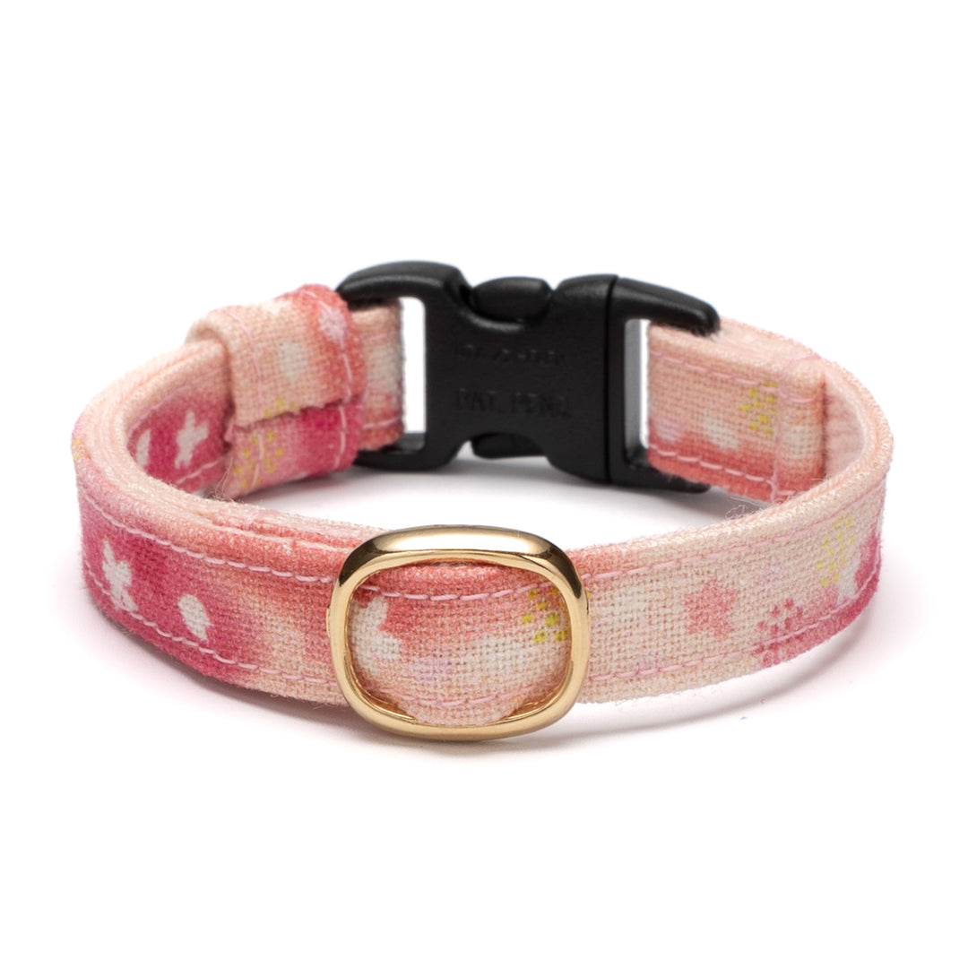 グラフィック猫首輪　SAKURAラテ　桜シフォン【限定モデル】