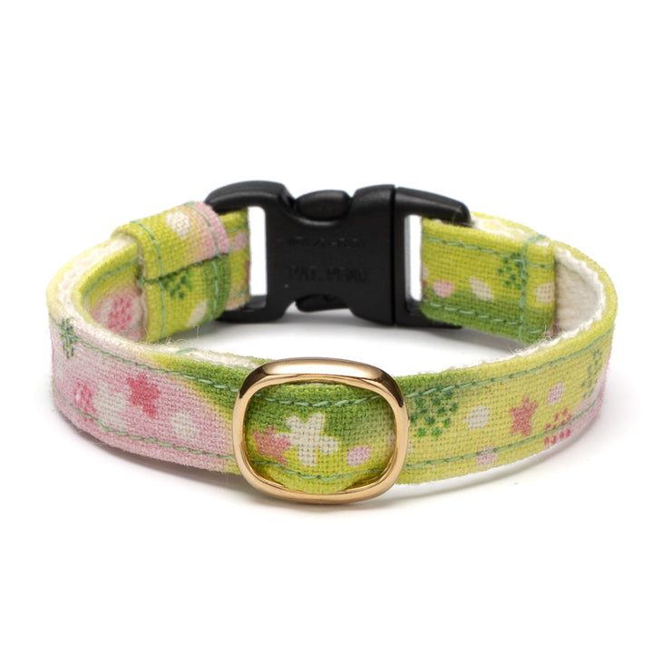 グラフィック猫首輪　SAKURAラテ　抹茶さくら【限定モデル】