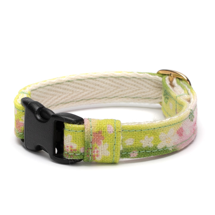 グラフィック猫首輪　SAKURAラテ　抹茶さくら【限定モデル】