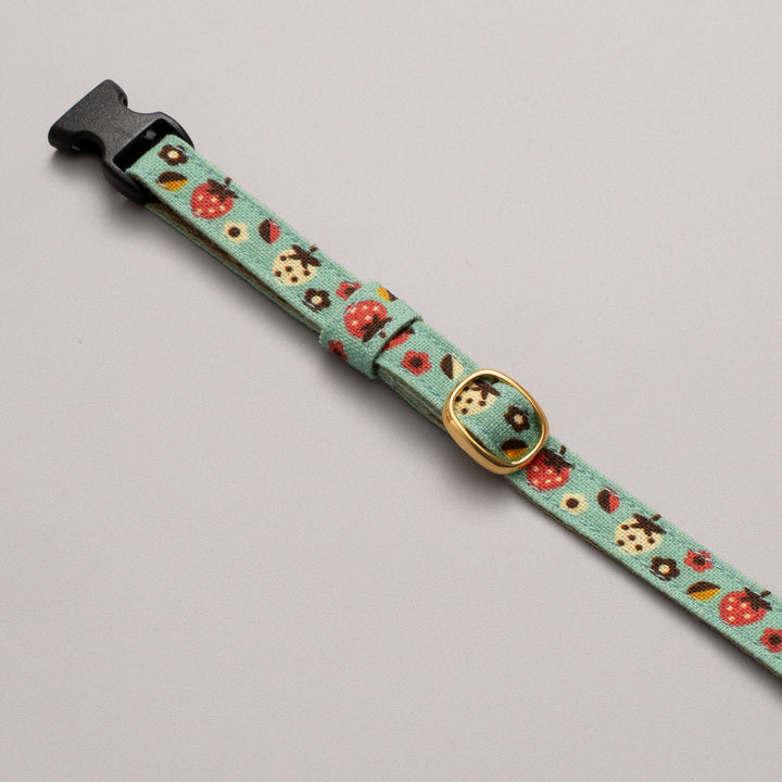 グラフィック猫首輪　ラブリーベリー　コンプリートセット【限定モデル】