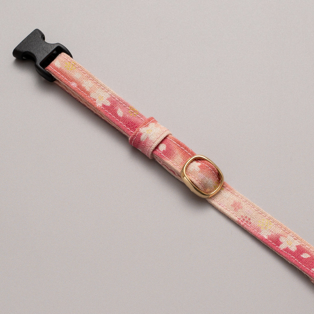 グラフィック猫首輪　SAKURAラテ　コンプリートセット【限定モデル】