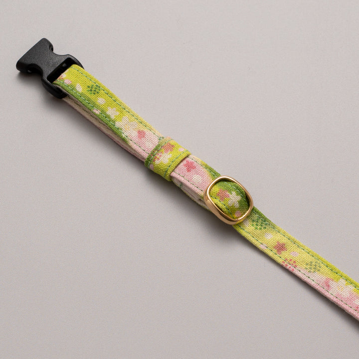 グラフィック猫首輪　SAKURAラテ　コンプリートセット【限定モデル】