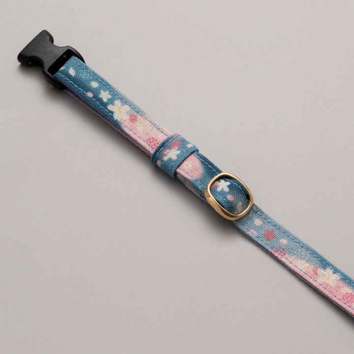 グラフィック猫首輪　SAKURAラテ　春霞ブルー【限定モデル】