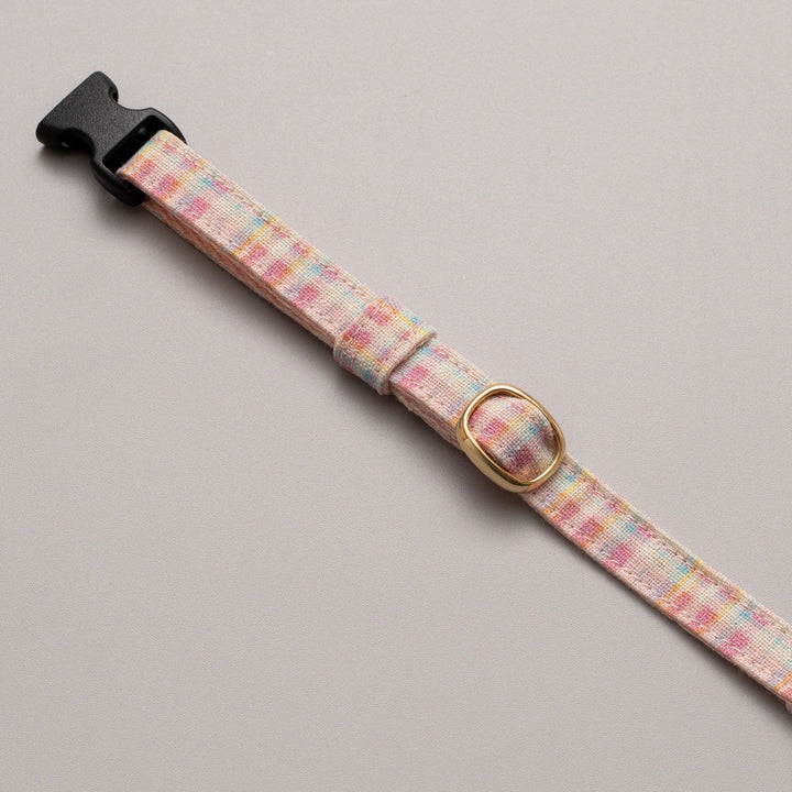 グラフィック猫首輪　春色チェック　コンプリートセット【限定モデル】