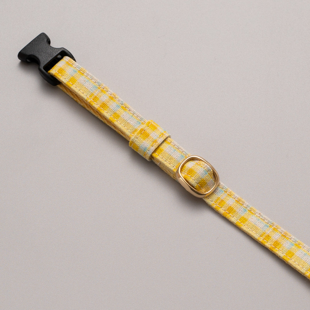 グラフィック猫首輪　春色チェック　コンプリートセット【限定モデル】