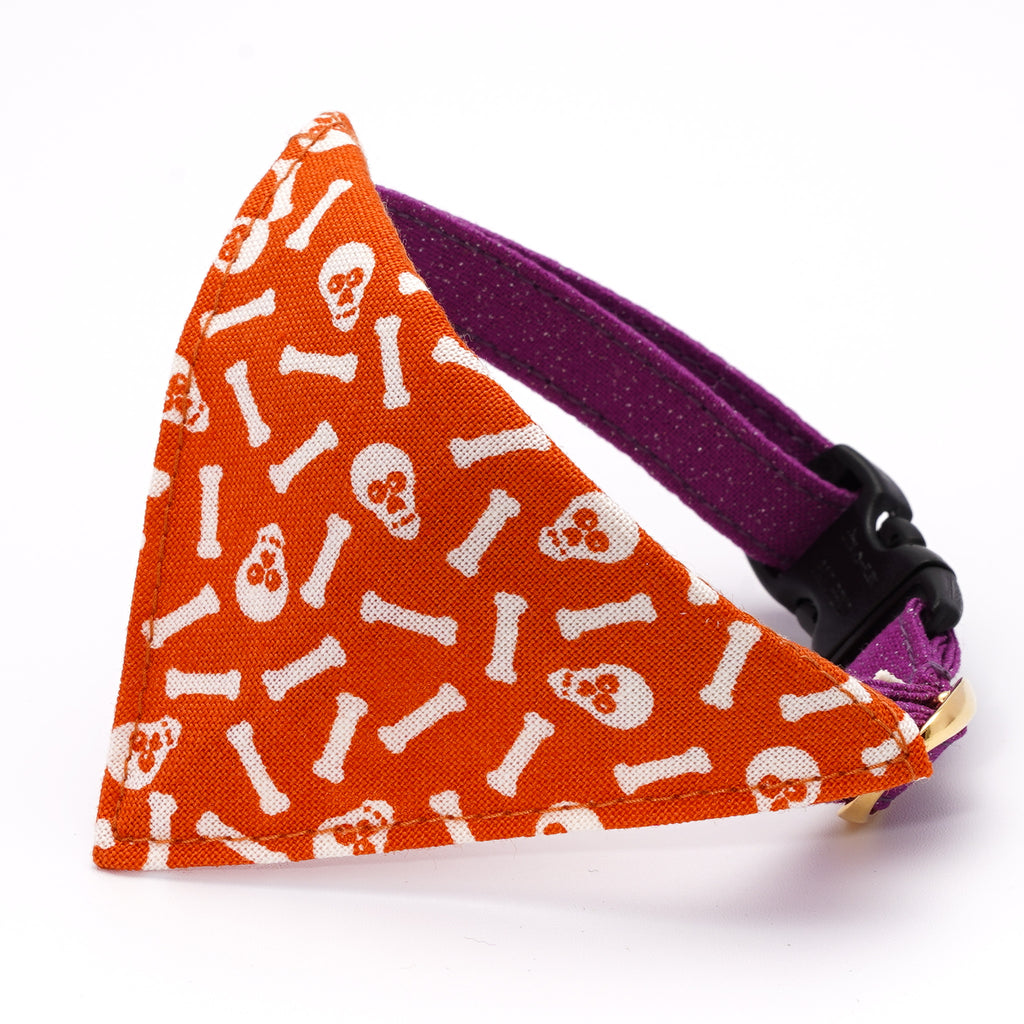 DSC00086_a8b18d02-bbc4-41d9-