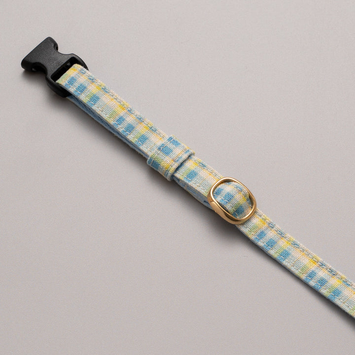 グラフィック猫首輪　春色チェック　コンプリートセット【限定モデル】