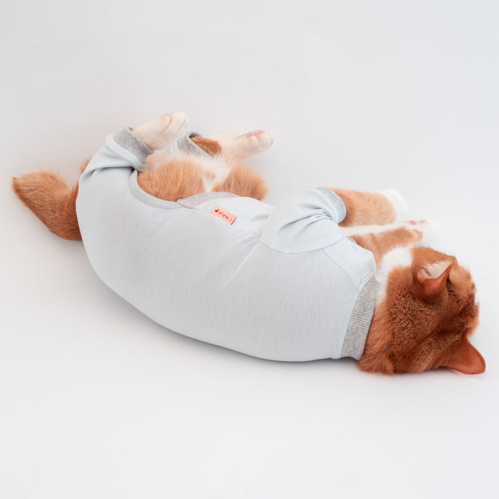 猫に優しい猫服　皮膚保護服（カバーオール）