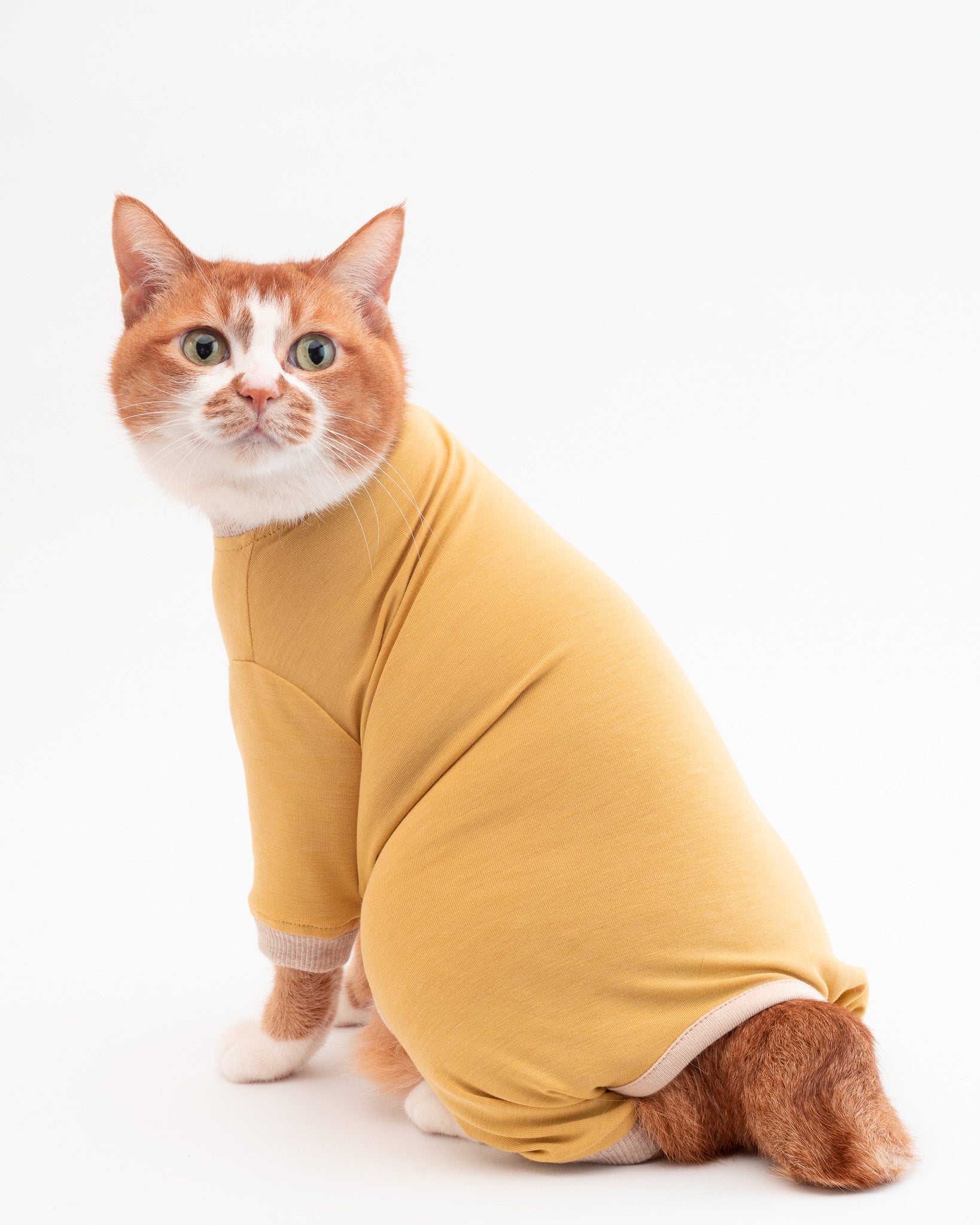 猫服・術後服|嫌がらない!舐め壊し・寒さ対策に優しい猫用保護服|ぽ 猫服・術後服|嫌がらない!舐め壊し・寒さ対策に優しい猫用保護服|ぽ
