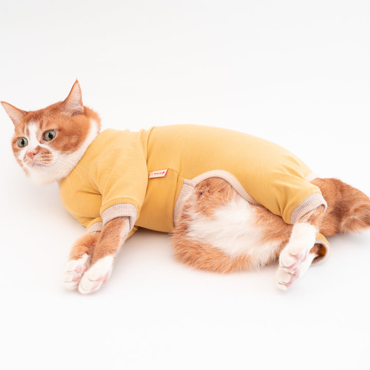 猫に優しい猫服　皮膚保護服（カバーオール）