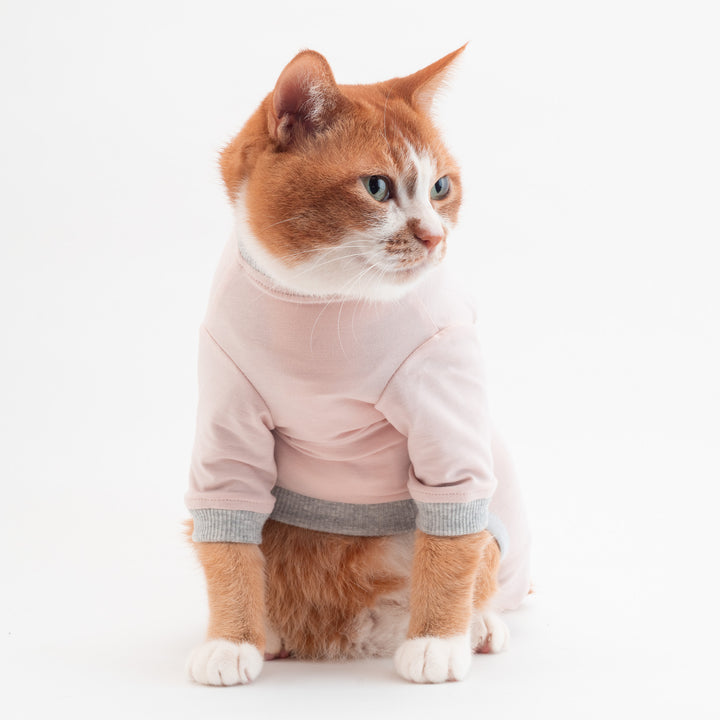 猫に優しい猫服　皮膚保護服（カバーオール）