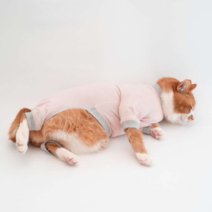 猫に優しい猫服　皮膚保護服（カバーオール）