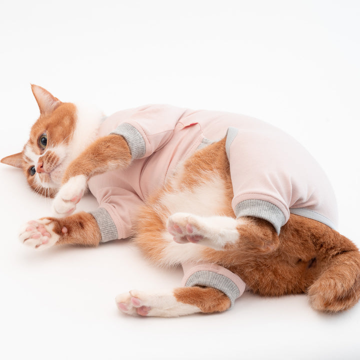 猫に優しい猫服　皮膚保護服（カバーオール）