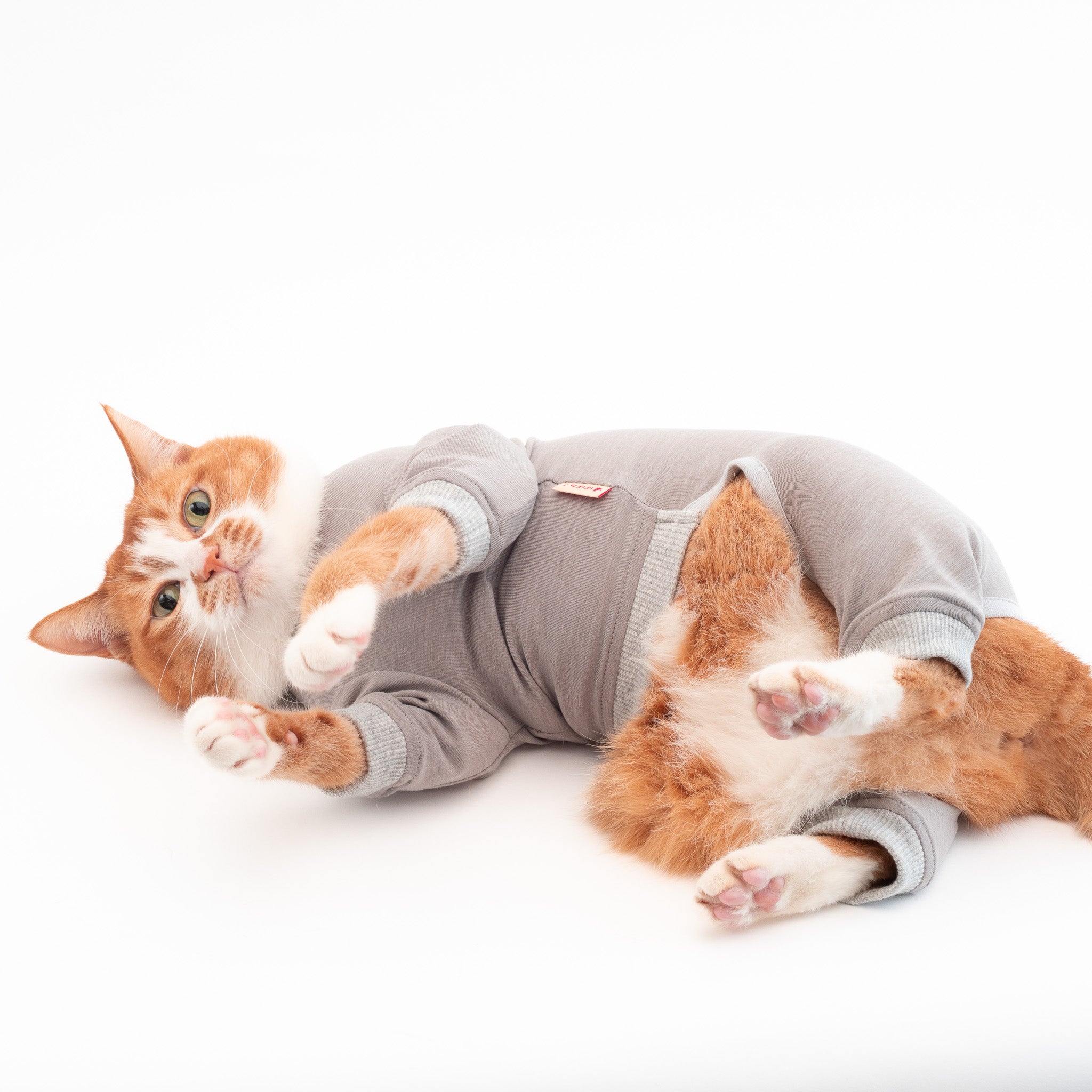 猫に優しい猫服 皮膚保護服（カバーオール）｜ぽぽねこ公式