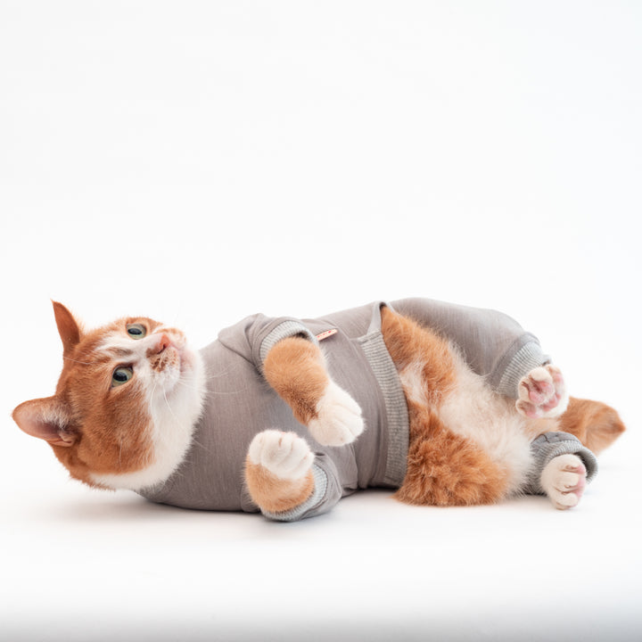 猫に優しい猫服　皮膚保護服　キャットプロテクションスーツ（ロンパース）