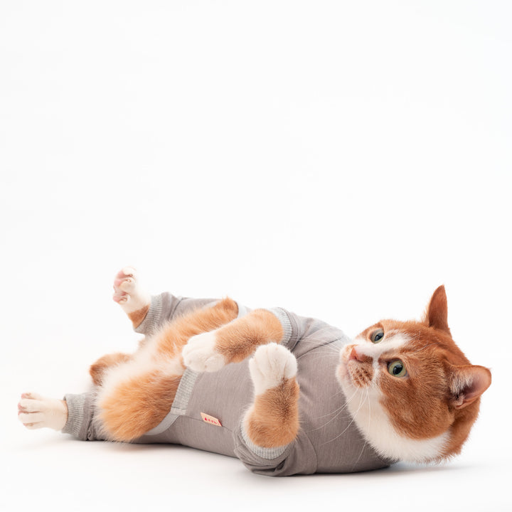 猫に優しい猫服　皮膚保護服（カバーオール）