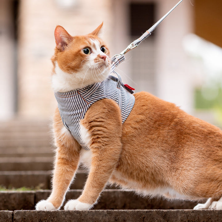 【訳あり10%off】猫に優しいベスト型ハーネス・リード付き　デニム　ヒッコリー【限定モデル】
