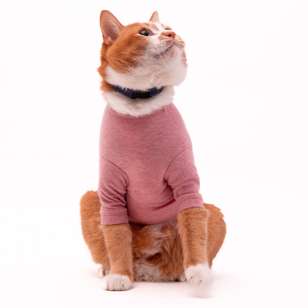 猫に優しい猫服　オーガニックコットンT　無地（長袖）