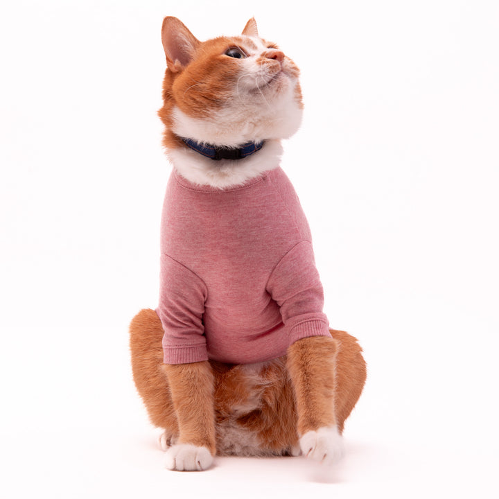 猫に優しい猫服　オーガニックコットンT　無地（長袖）