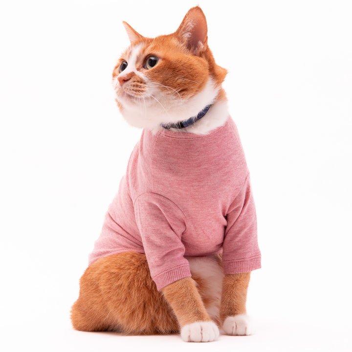 猫に優しい猫服　オーガニックコットンT　無地（長袖）