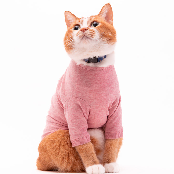 猫に優しい猫服　オーガニックコットンT　無地（長袖）
