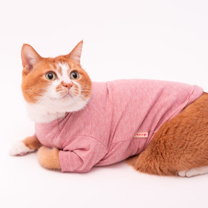 猫に優しい猫服　オーガニックコットンT　無地（長袖）