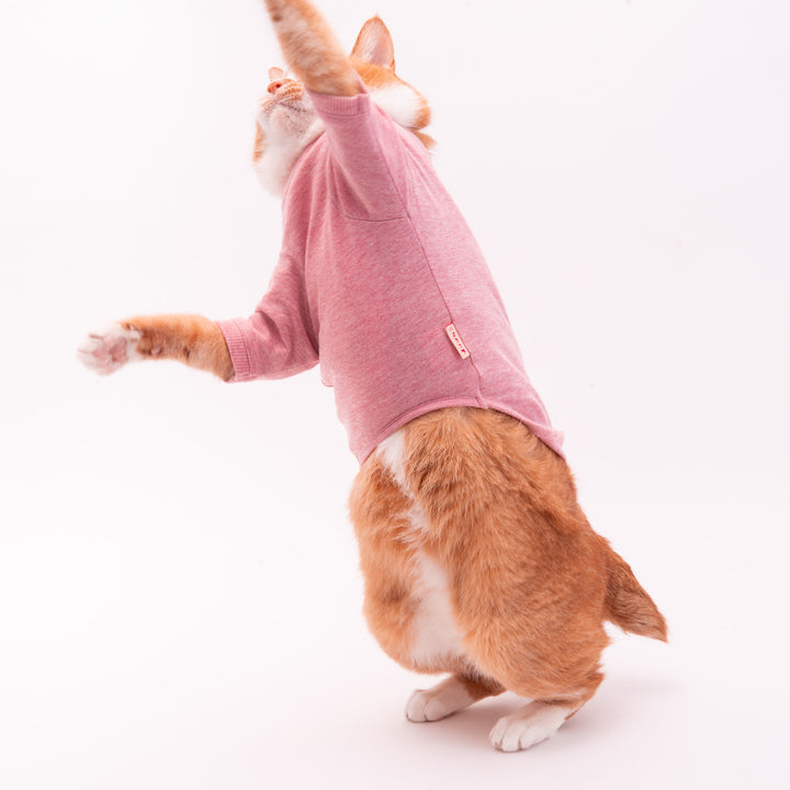 猫に優しい猫服　オーガニックコットンT　無地（長袖）