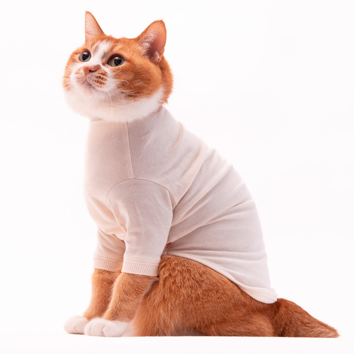 猫に優しい猫服　オーガニックコットンT　無地（長袖）