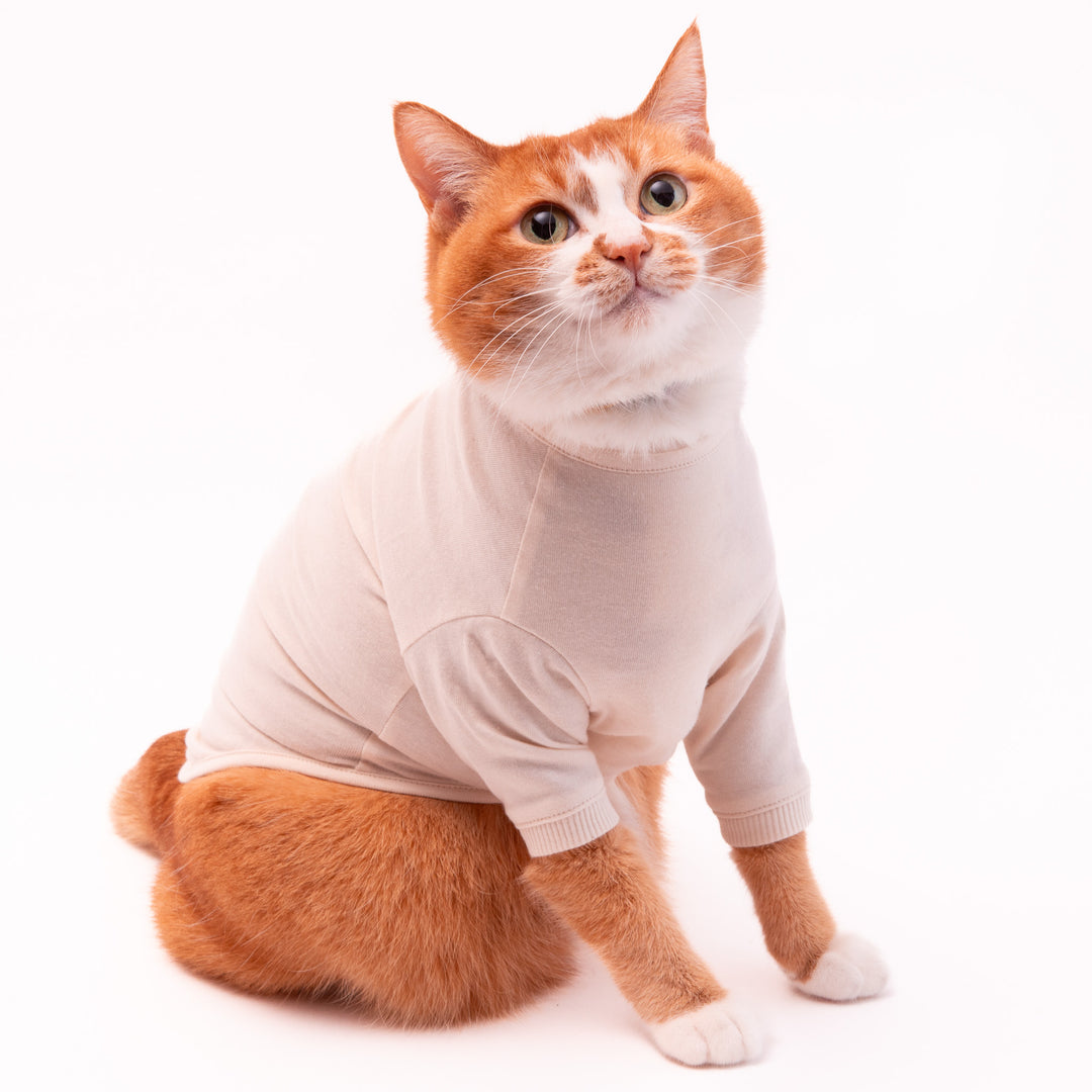 猫に優しい猫服　オーガニックコットンT　無地（長袖）