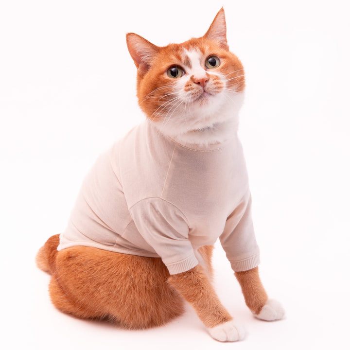 猫に優しい猫服　オーガニックコットンT　無地（長袖）