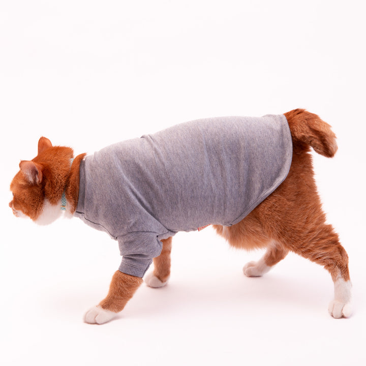 猫に優しい猫服　オーガニックコットンT　無地（長袖）