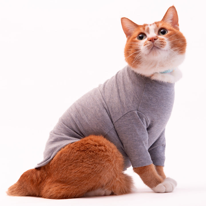 猫に優しい猫服　オーガニックコットンT　無地（長袖）