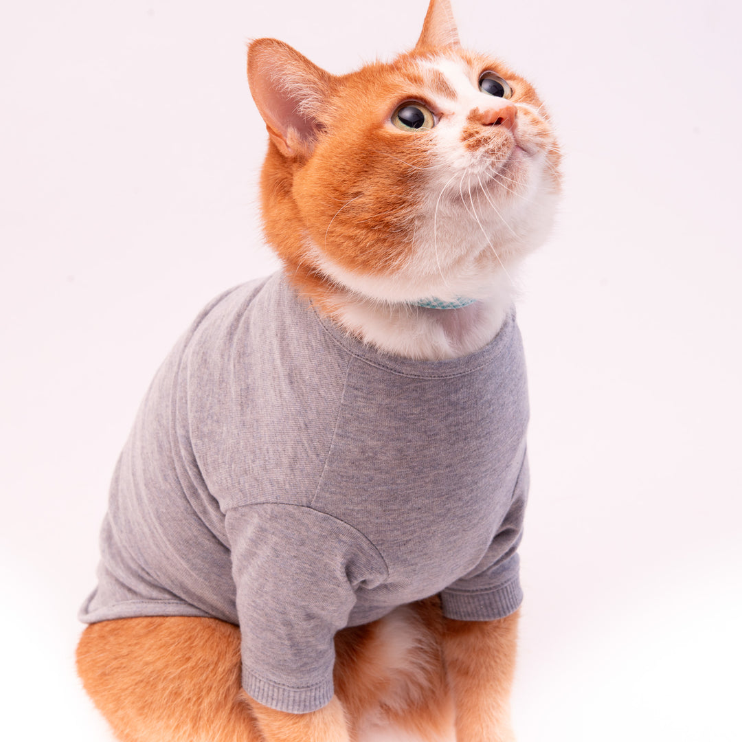 猫に優しい猫服　オーガニックコットンT　無地（長袖）