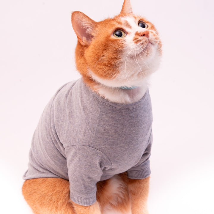 猫に優しい猫服　オーガニックコットンT　無地（長袖）