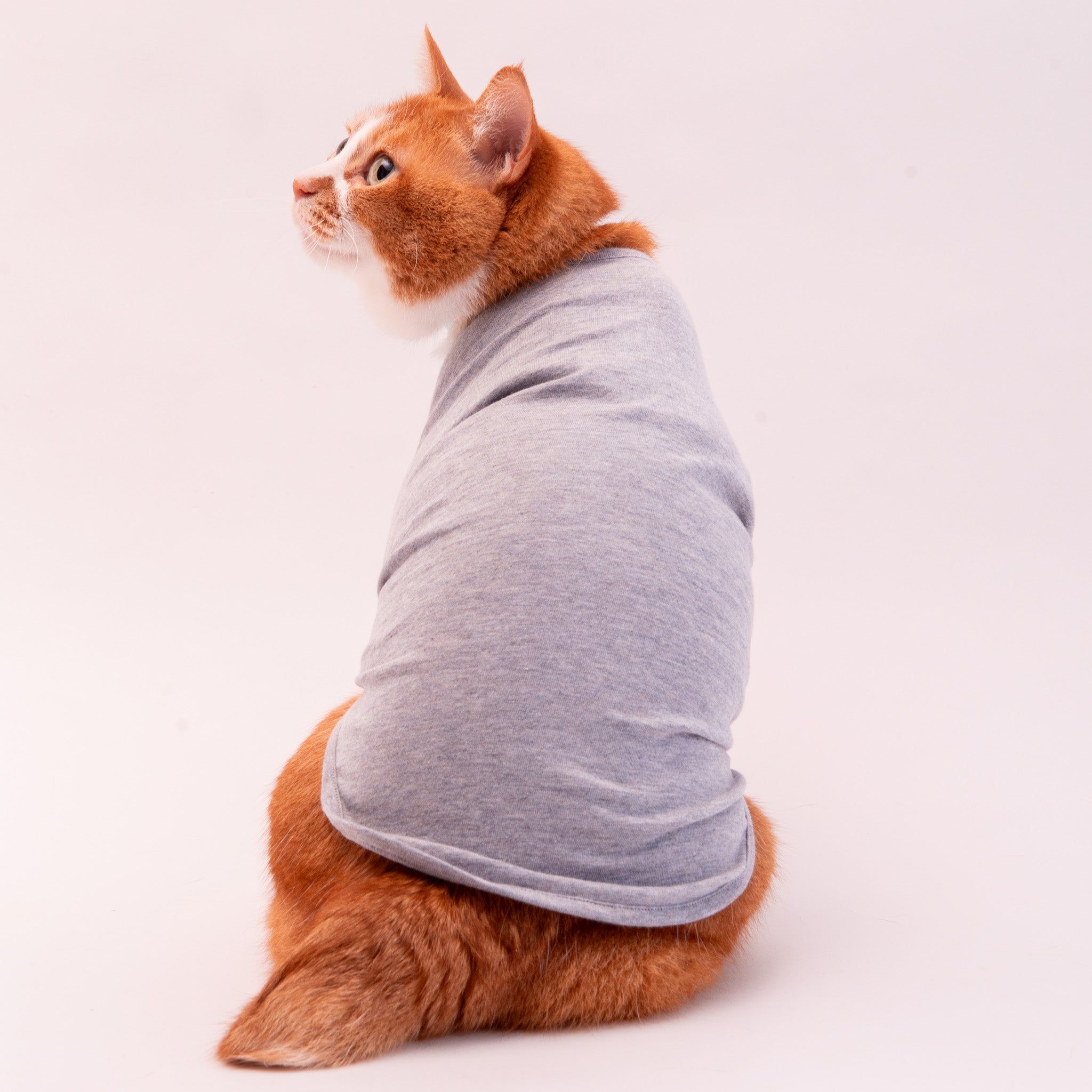 猫に優しい猫服 オーガニックコットンT 無地（長袖）｜ぽぽねこ公式