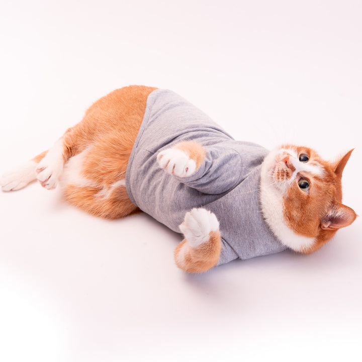 猫に優しい猫服　オーガニックコットンT　無地（長袖）