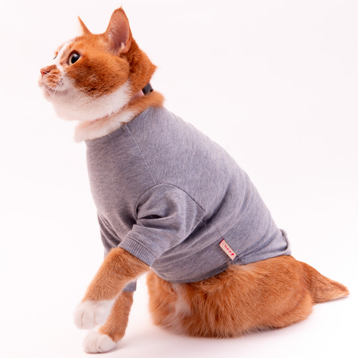 猫に優しい猫服　オーガニックコットンT　無地（長袖）