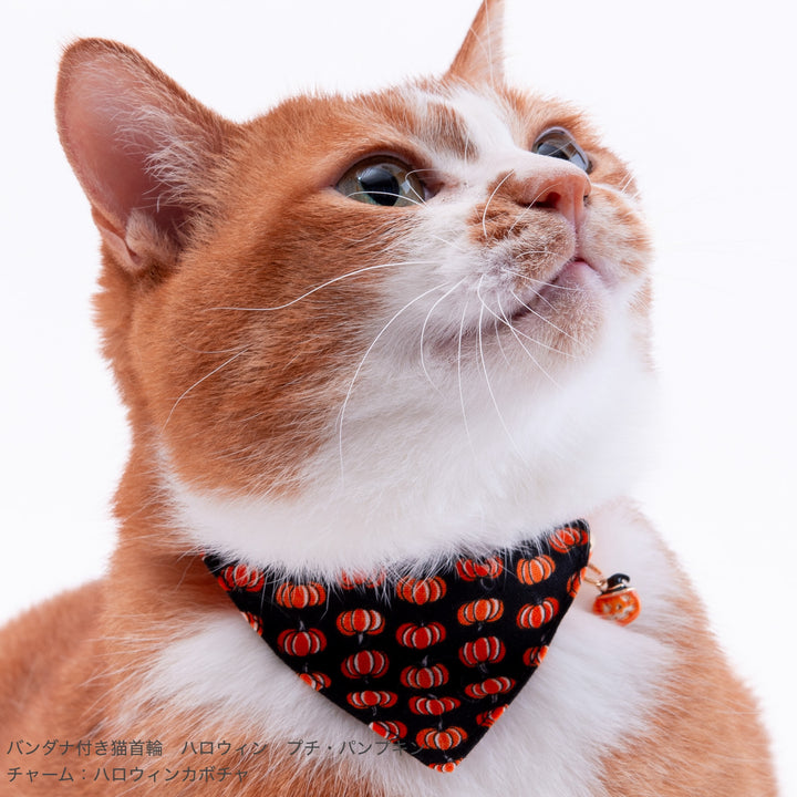 バンダナ付き猫首輪　ハロウィン　パンプキン・スパイダー　グレー