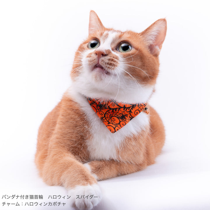 バンダナ付き猫首輪　ハロウィン　パンプキン・スパイダー　グレー