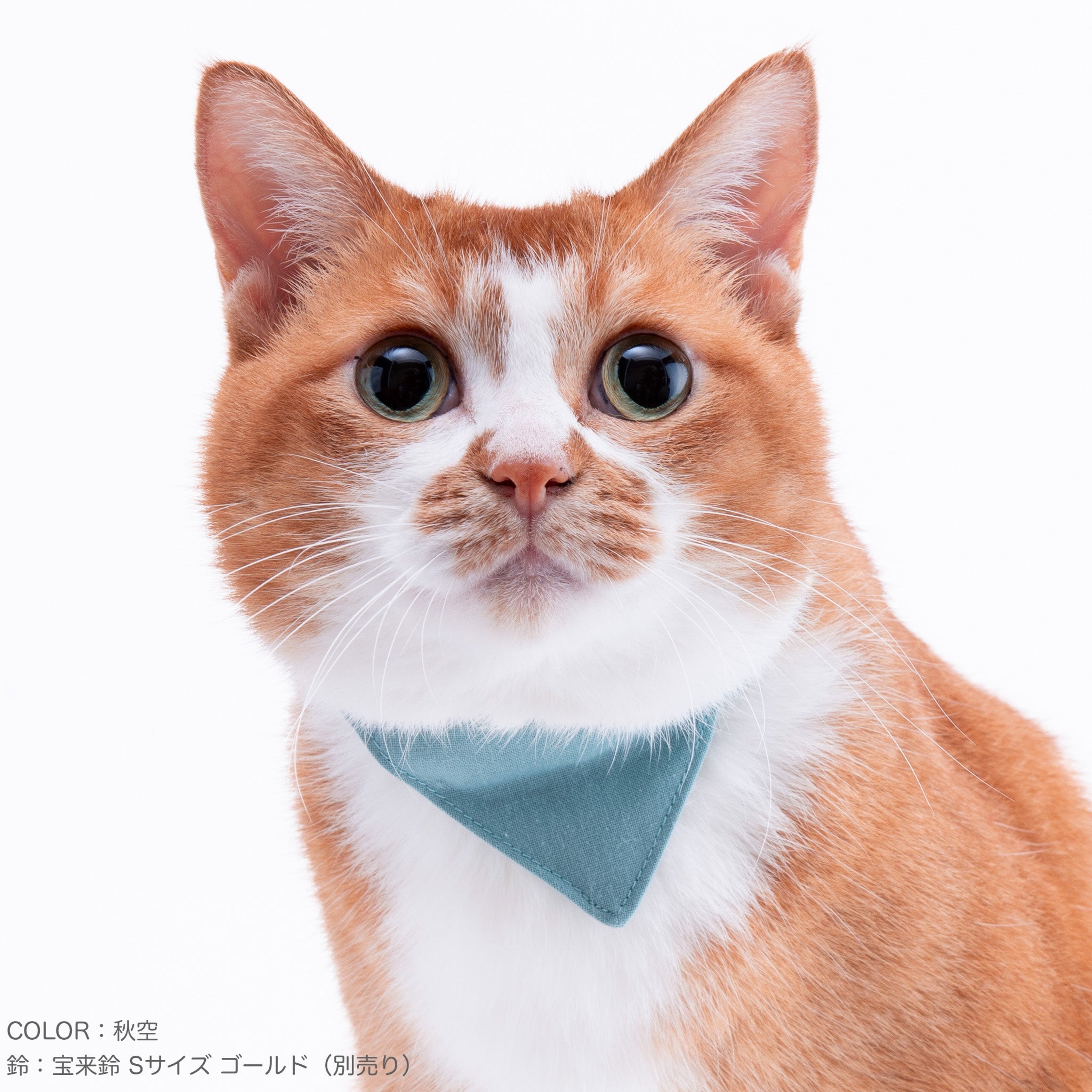 バンダナ付き猫首輪 MUJIコットンプレーン 柳染｜ぽぽねこ公式